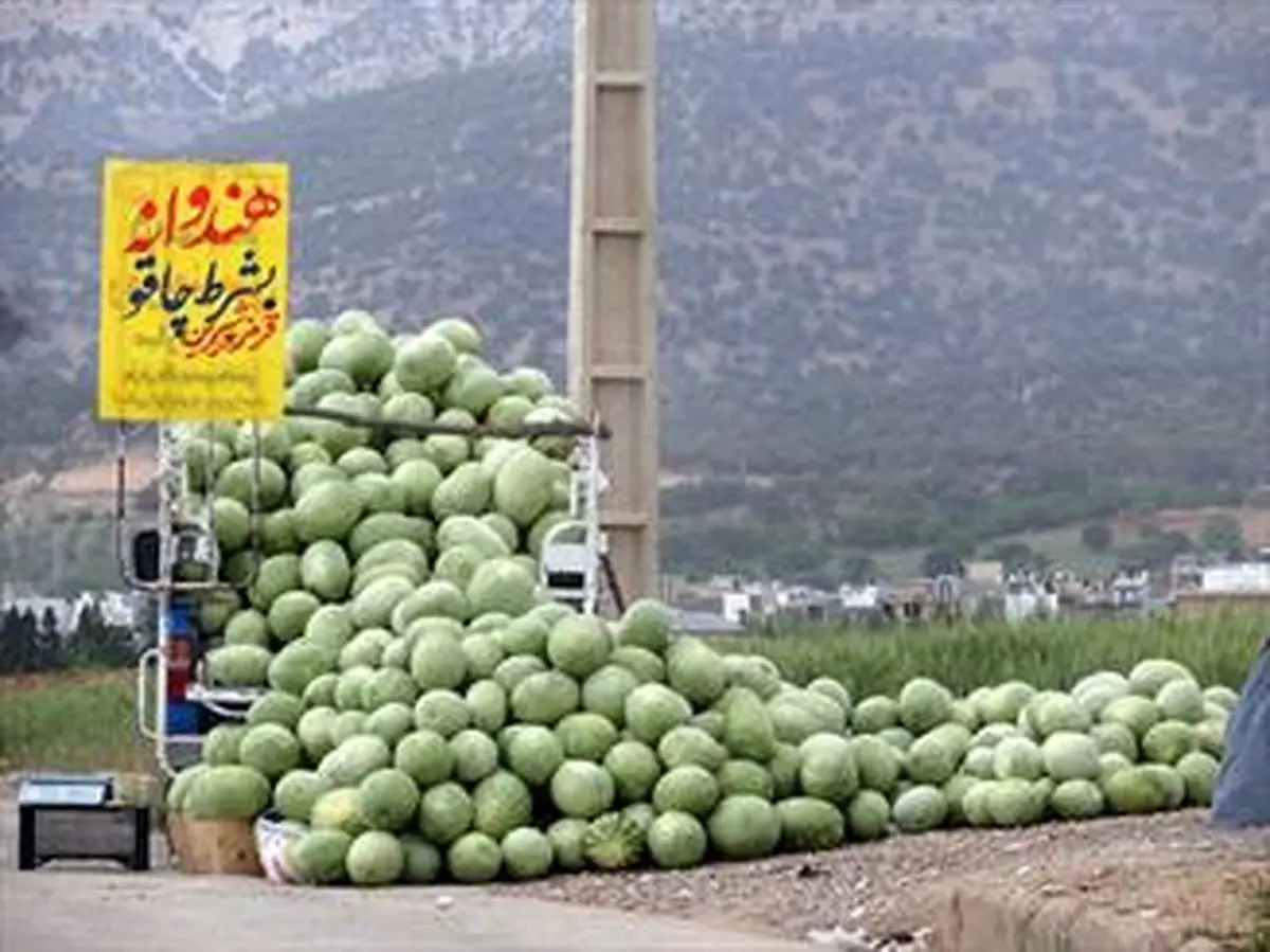 بازی باخت باخت در زمینهای کشاورزی
