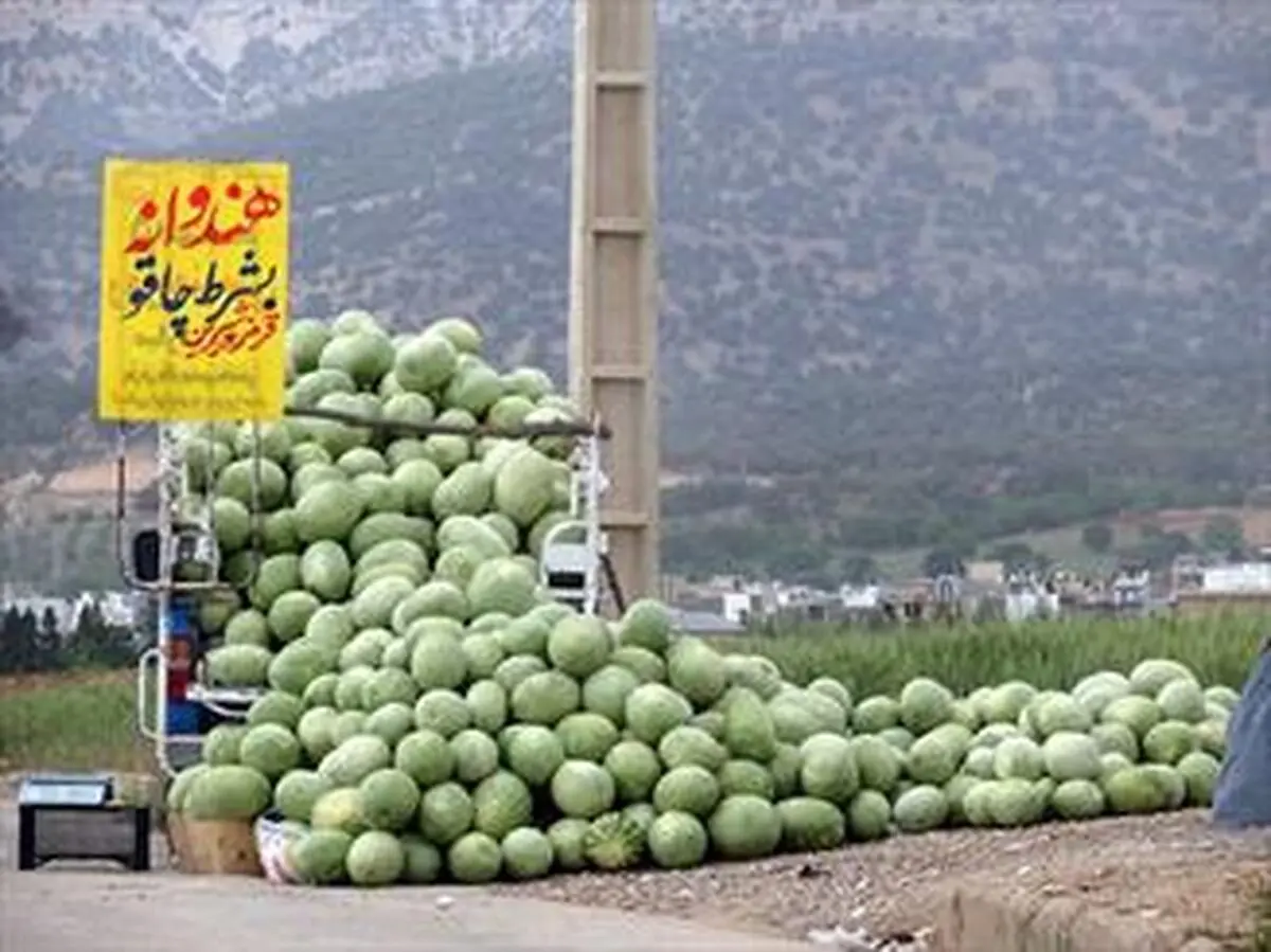 بازی باخت باخت در زمینهای کشاورزی