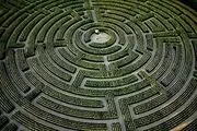 تولد مسابقه زیست‌محیطی 