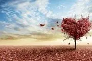 نشانه های یک مؤمن واقعی از زبان رسول خدا (ص)