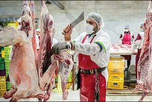 قیمت گوشت گوسفندی امروز در بازار + جدول
