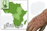 هشدار نسبت به احتمال شیوع بیماری کریمه گنگو