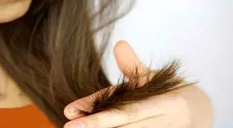 5 راه حل ساده برای درمان موهای خشک و آسیب دیده