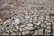 چهارمحال و بختیاری پنجمین استان خشک کشور