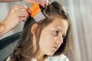 ضیاءالدینی: هزار معلم بهداشت در مدارس نیاز داریم