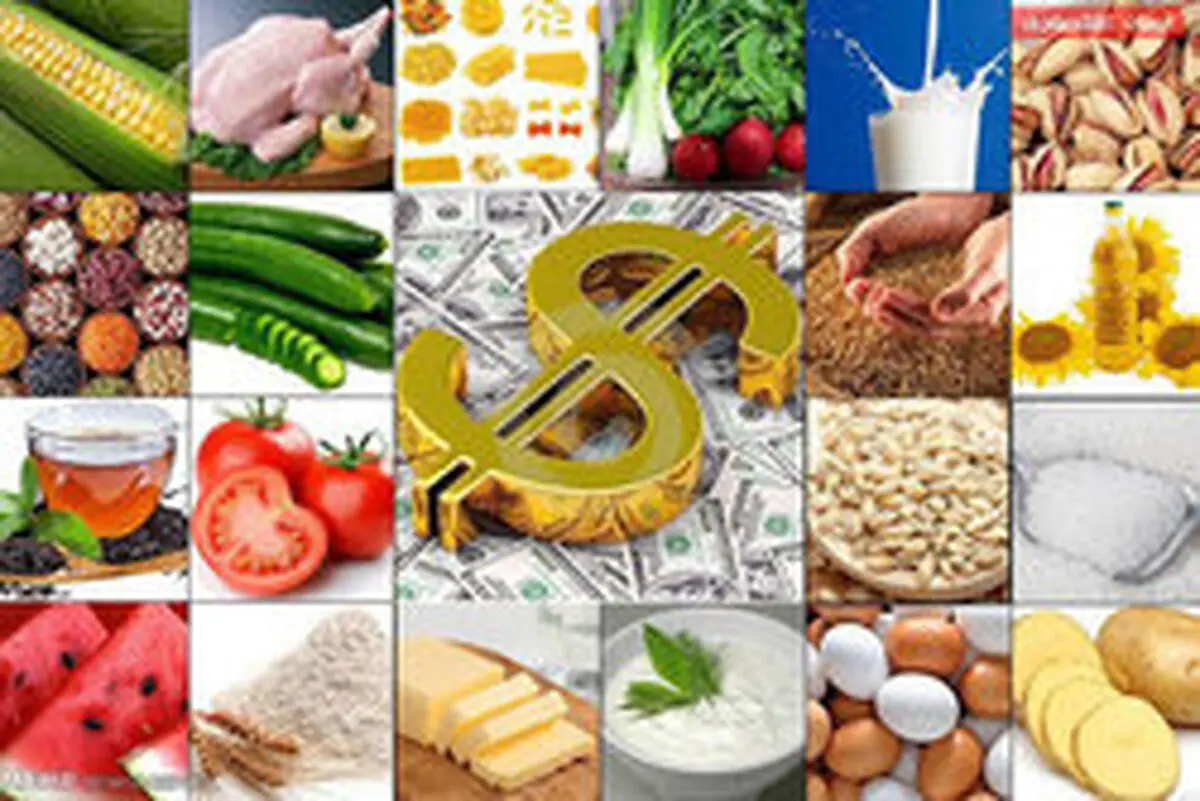 
خوراکی‌های مفیدی برای مواقع آلودگی هوا
