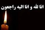 مربی سایپا داغدار شد