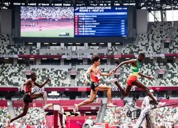 3216584.jpg