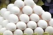ممنوعیت صادرات تخم مرغ لغو شد
