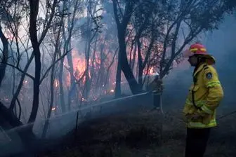 آتش سوزی گسترده در شرق استرالیا