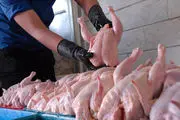 توقف صادرات مرغ با شیوع آنفلوانزا 
