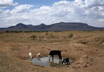 ال‌نینوی مرگبار