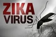 ویروس «زیکا» چیست؟