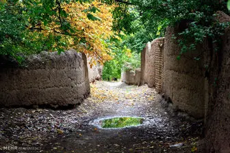 باغات بالای ۵ هزار متر تهران شناسنامه‌دار شدند