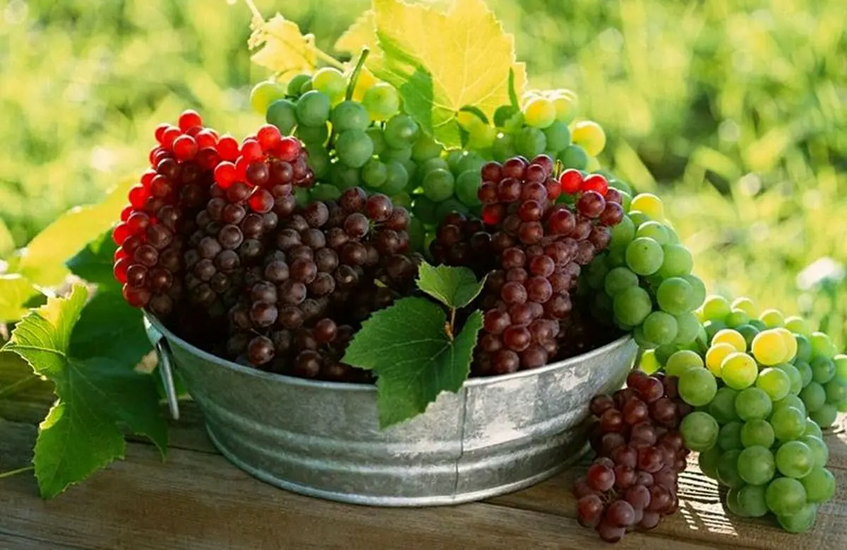 خواص بینظیر مصرف این میوه
