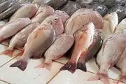 قیمت انواع ماهی ۲۶ خرداد ۱۴۰۳+ جدول
