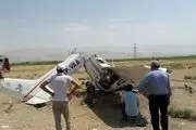 سقوط هواپیمای آموزشی روی درخت