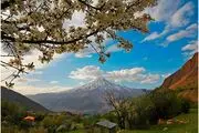 فرصتی عالی برای ارتباط با طبیعت و تماشای زیبایی‌ها