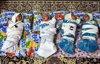 تولد چهارقلوها در سیستان و بلوچستان+عکس
