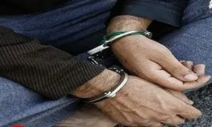 هشت تن از گردانندگان شبکه سرقت های خشن  دستگیر شدند