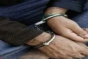 هشت تن از گردانندگان شبکه سرقت های خشن  دستگیر شدند