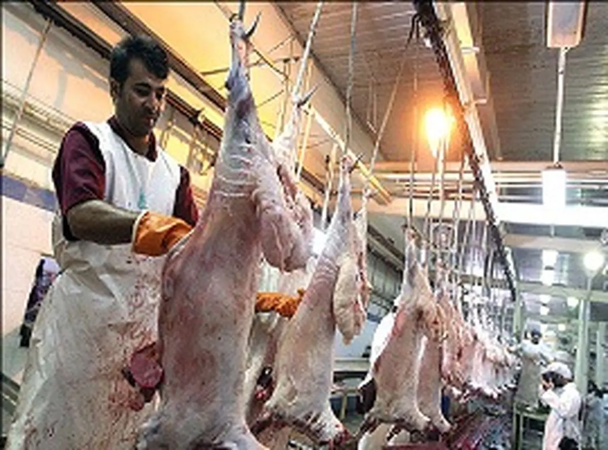 ذبح گوسفند در ایران، عزای بوقلمونها در آمریکا!