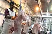 ذبح گوسفند در ایران، عزای بوقلمون‌ها در آمریکا!