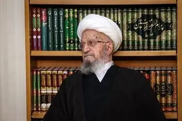 دیدار رئیس مجلس شورای اسلامی با مراجع عظام تقلید در قم/گزارش تصویری