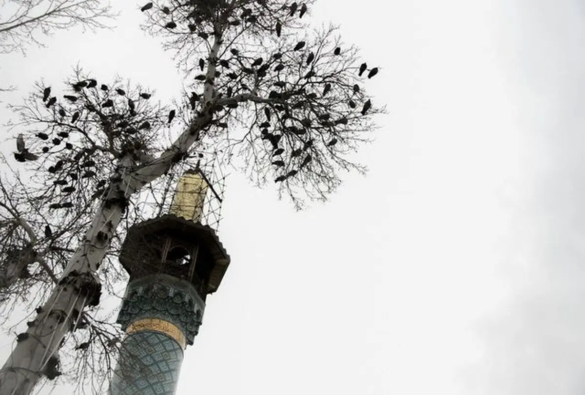 سرقت کثیف از بقعه امامزاده عبدالله 