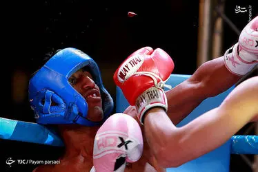 QJkqFHduD1Y8