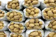 صادرات سیب‌زمینی ممنوع شد