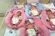 مادر جوان در کرمان چهار قلو به دنیا آورد