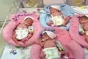 مادر جوان در کرمان چهار قلو به دنیا آورد