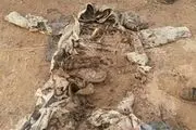 کشف پیکر یک شهید دفاع مقدس در منطقه مرزی نفت شهر 