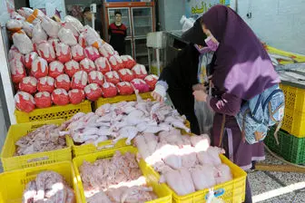 قیمت مرغ، گوشت سفید و تخم مرغ در بازار