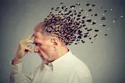 ساخت چسبی که می‌تواند خاطرات را ماندگار کند!