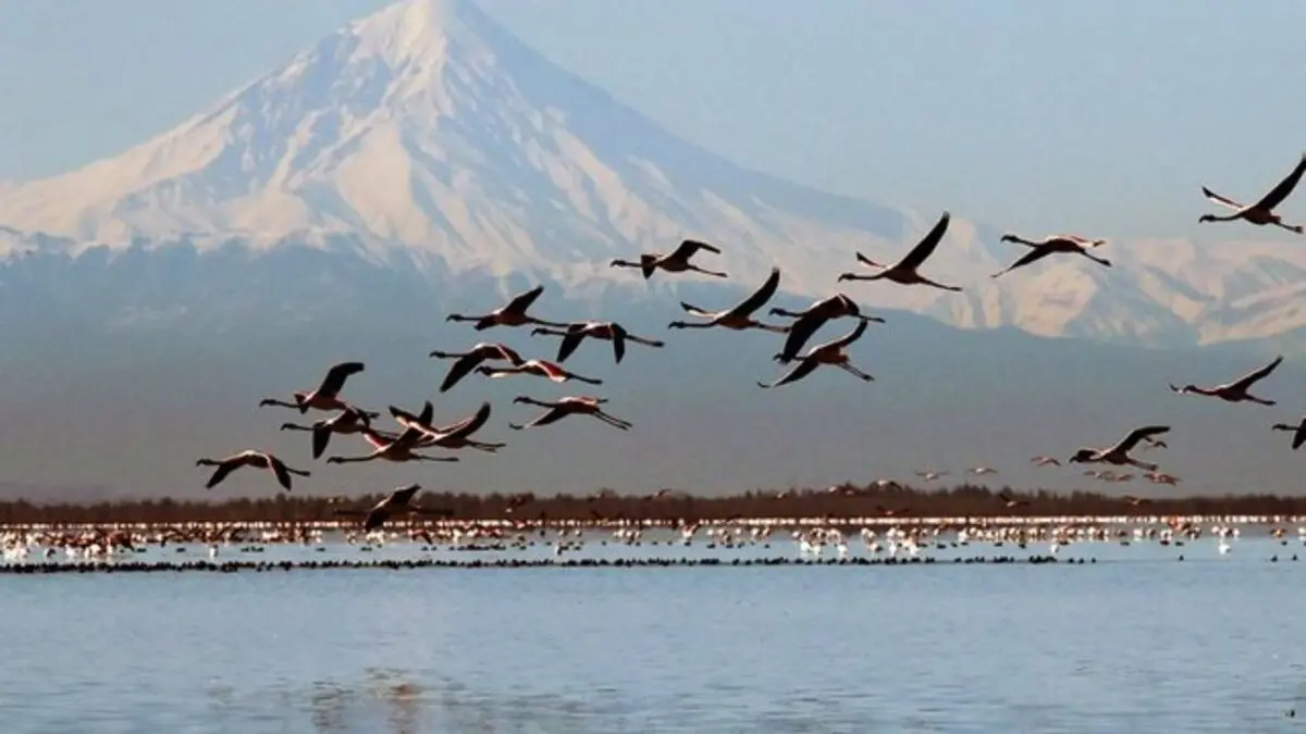 تغییر اکوسیستم تالاب میانکاله با انتقال آب دریای خزر

