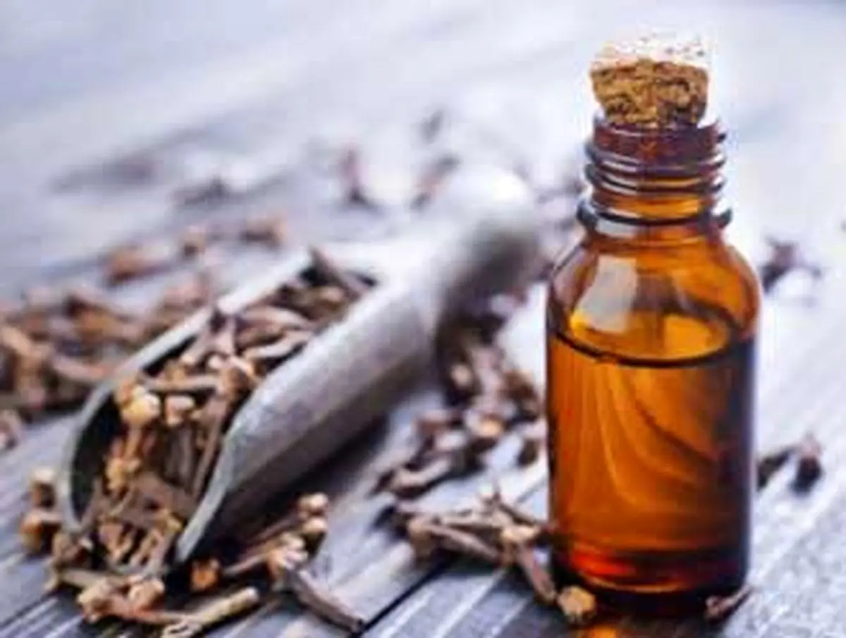 مصرف خودسرانه میخک چه عواقبی دارد؟