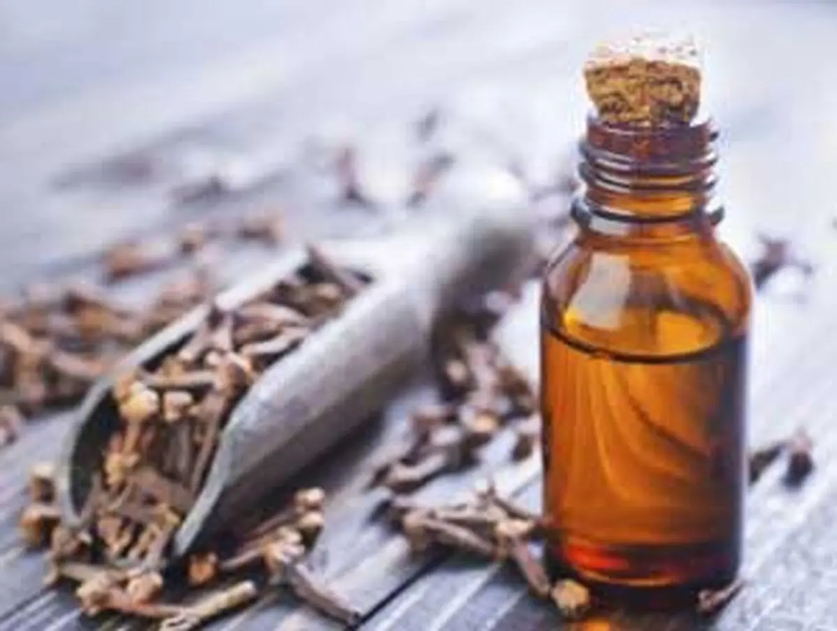 مصرف خودسرانه میخک چه عواقبی دارد؟
