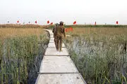 ۶۰ هزار مفقودی در جنگ ایران و عراق