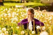 توصیه‌های تغذیه‌ای طب ایرانی برای فصل بهار
