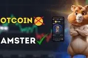ماجرای بازی کریپتویی همسترکامبت چیست؟
