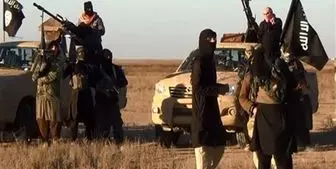دستگیری 11 تروریست داعشی