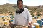 نیش زنبور برایم شیرین تر از عسل است