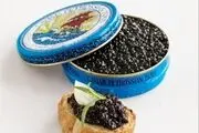  خاویار ایران ثبت ملی و جهانی می‌شود 