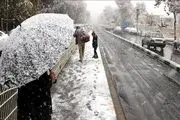 ببینید| بارش برف در تهران هم آغاز شد
