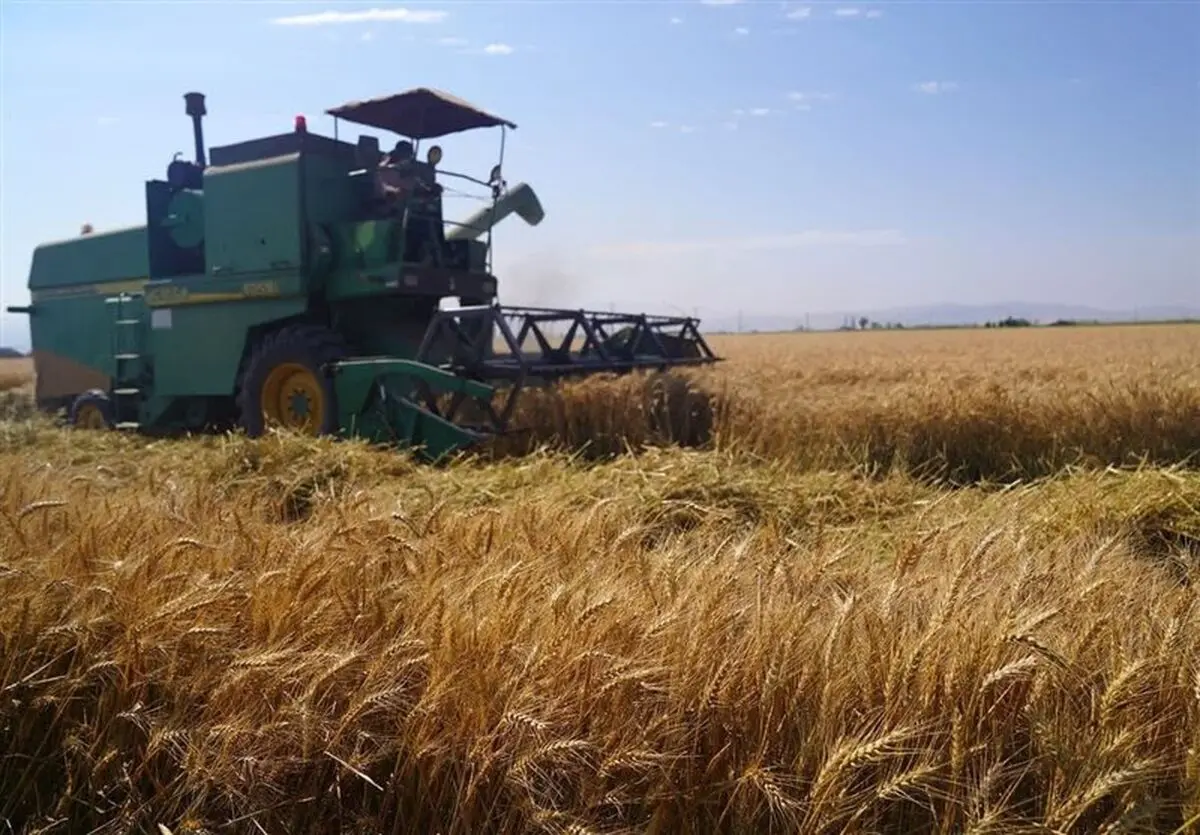 خبر مهم برای گندمکاران