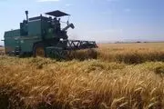 خبر مهم برای گندمکاران