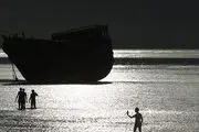کلبه هور - خلیج فارس/ گزارش تصویری
