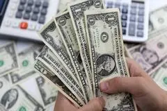 بانک مرکزی چگونه ترمز دلار را می‌کشد؟